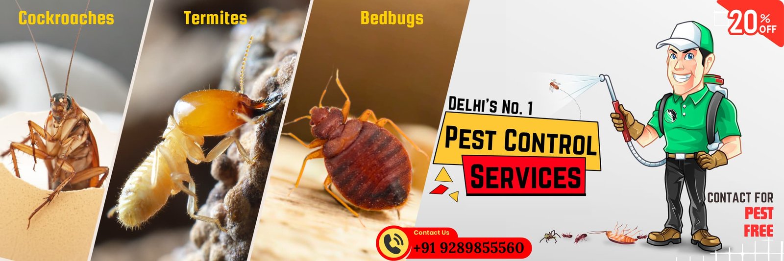 VN Care Pest Control, Pest Control Sangam Vihar, Termite Control Sangam Vihar, Pest Control Uttam Nagar, Termite Control Uttam Nagar, Pest Control New Delhi, Termite Control New Delhi